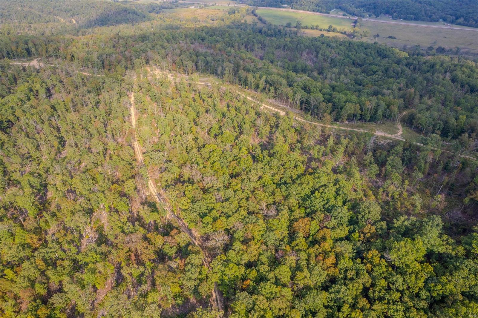 0 Madison Cr Fredericktown, MO 63645 - Photo 10 of 14