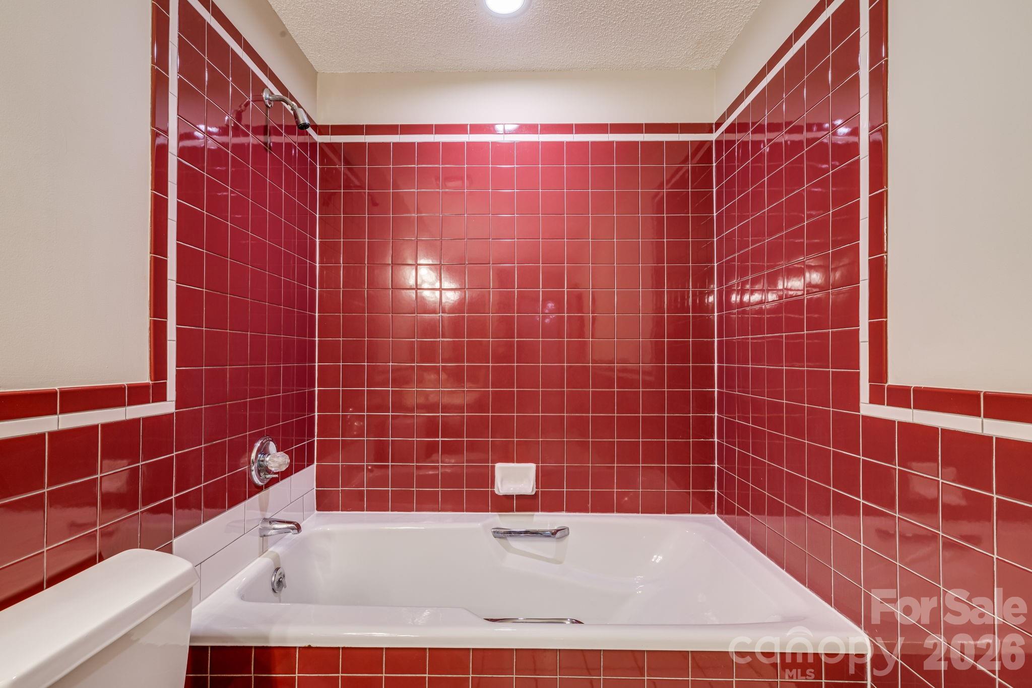35 Byrd Road Candler, NC 28715 - Photo 30 of 43 a bathroom with a bathtub and a shower