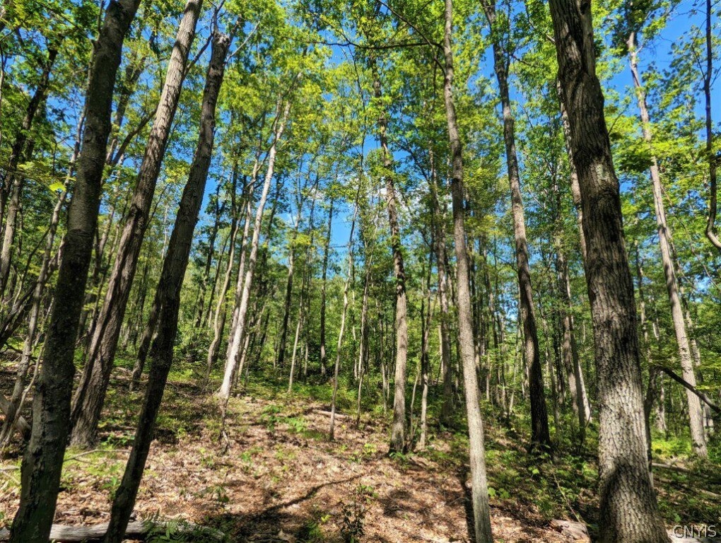 0 Van Etten Road Corning, NY 14830 - Photo 11 of 31