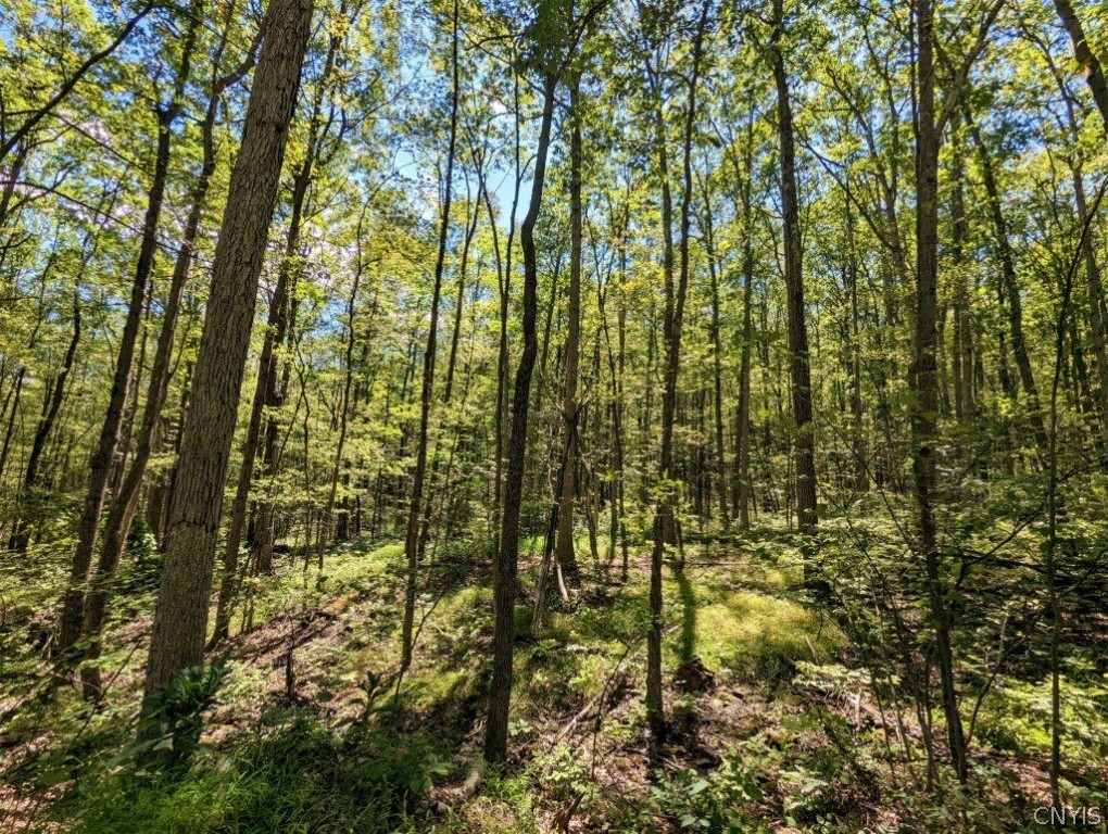 0 Van Etten Road Corning, NY 14830 - Photo 12 of 31