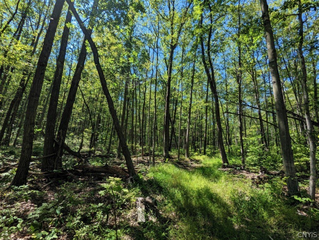 0 Van Etten Road Corning, NY 14830 - Photo 13 of 31