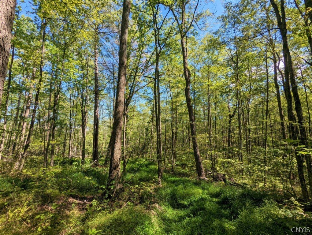 0 Van Etten Road Corning, NY 14830 - Photo 17 of 31