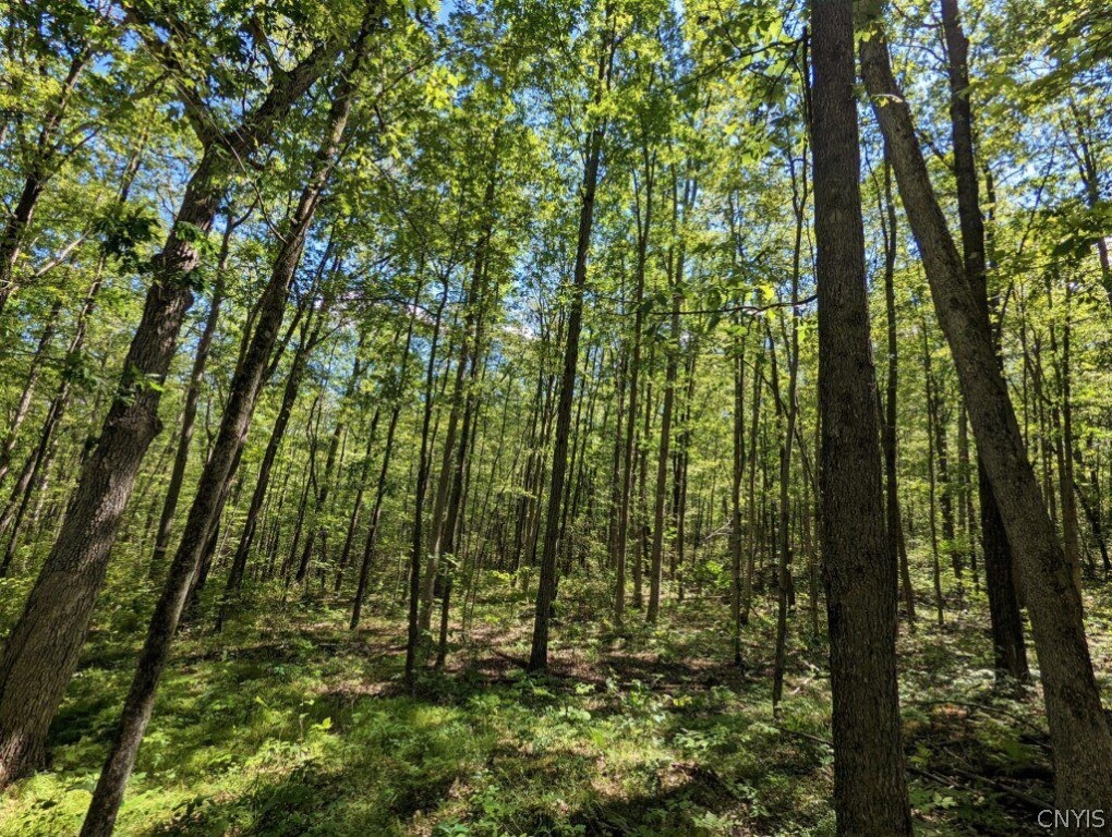 0 Van Etten Road Corning, NY 14830 - Photo 18 of 31