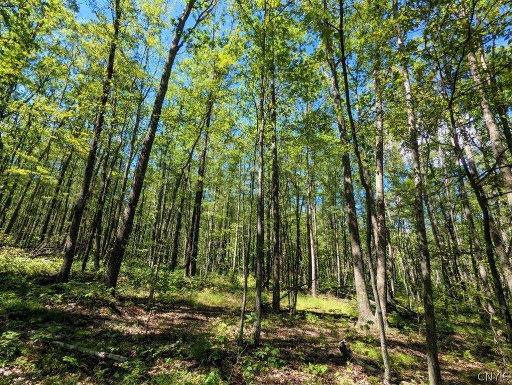 0 Van Etten Road Corning, NY 14830 - Photo 19 of 31