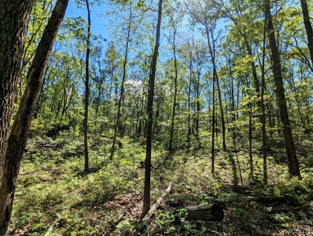 0 Van Etten Road Corning, NY 14830 - Photo 20 of 31