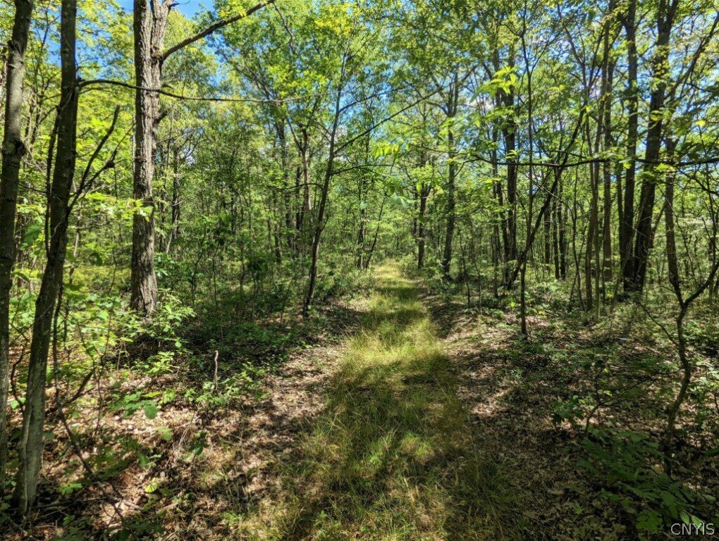 0 Van Etten Road Corning, NY 14830 - Photo 2 of 31