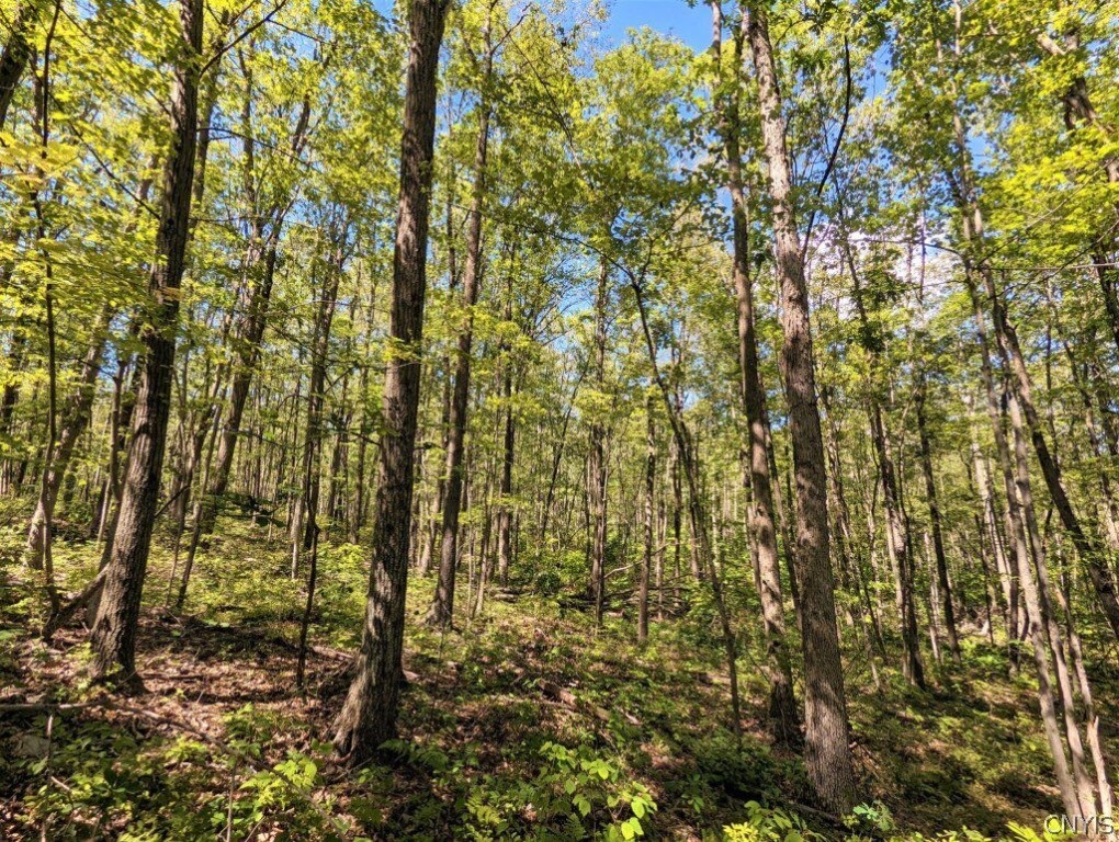 0 Van Etten Road Corning, NY 14830 - Photo 21 of 31