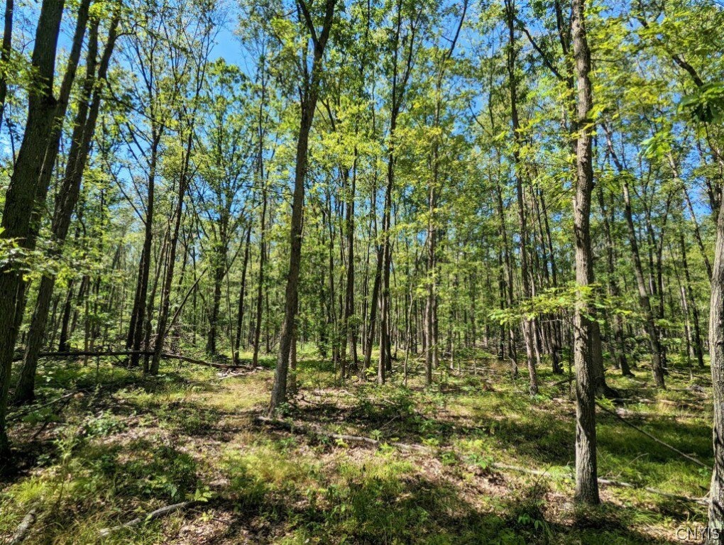 0 Van Etten Road Corning, NY 14830 - Photo 23 of 31