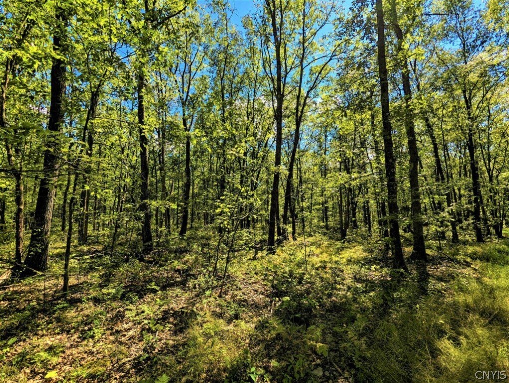 0 Van Etten Road Corning, NY 14830 - Photo 24 of 31