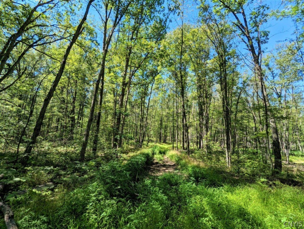 0 Van Etten Road Corning, NY 14830 - Photo 25 of 31