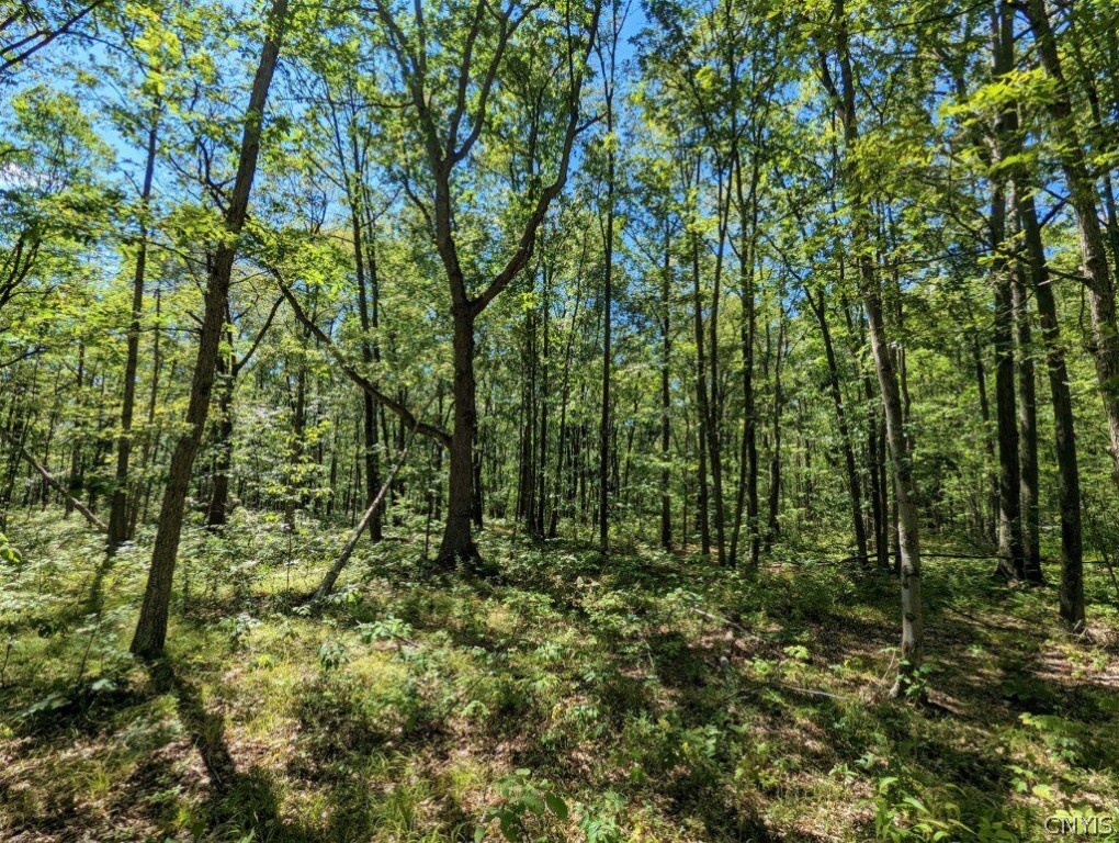 0 Van Etten Road Corning, NY 14830 - Photo 26 of 31