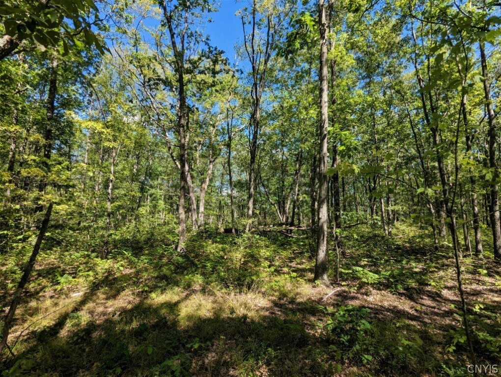 0 Van Etten Road Corning, NY 14830 - Photo 27 of 31