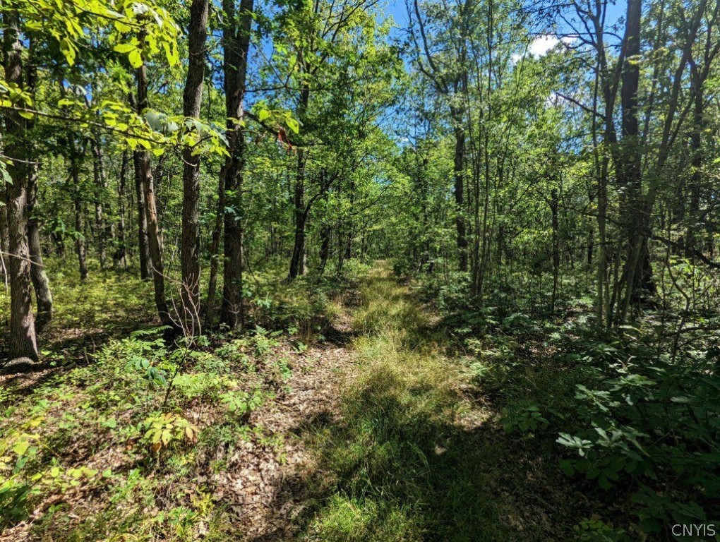 0 Van Etten Road Corning, NY 14830 - Photo 28 of 31