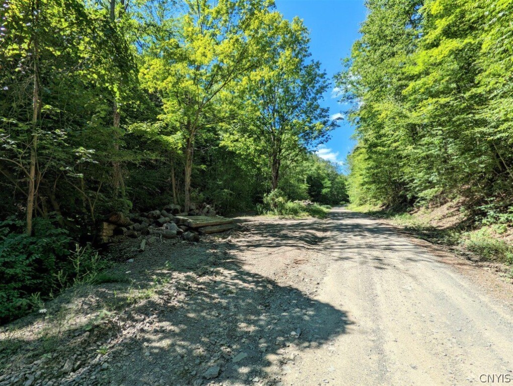 0 Van Etten Road Corning, NY 14830 - Photo 29 of 31