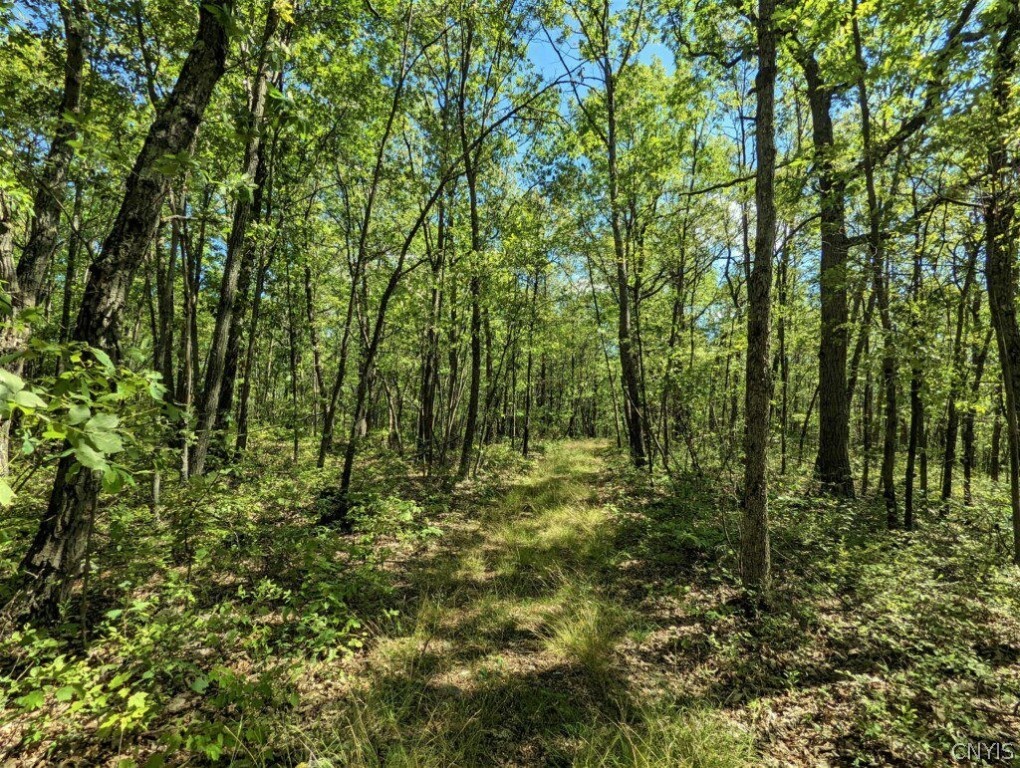 0 Van Etten Road Corning, NY 14830 - Photo 3 of 31