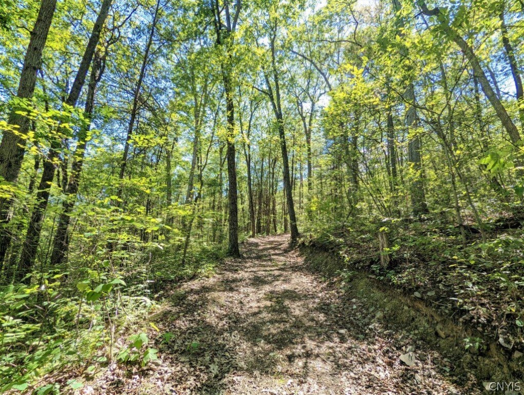 0 Van Etten Road Corning, NY 14830 - Photo 4 of 31