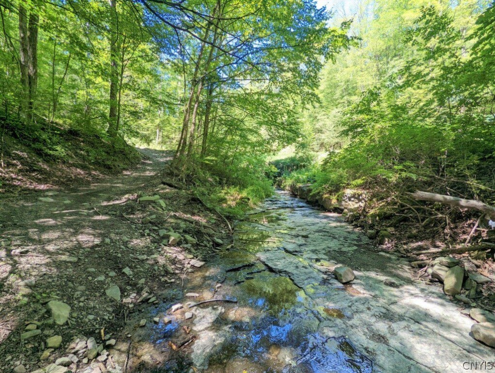 0 Van Etten Road Corning, NY 14830 - Photo 6 of 31