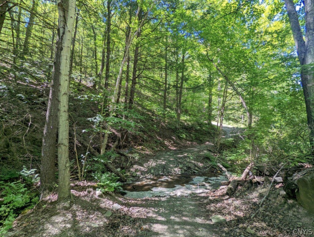 0 Van Etten Road Corning, NY 14830 - Photo 7 of 31
