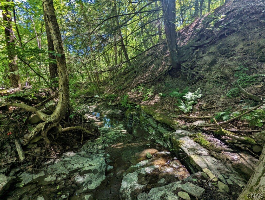 0 Van Etten Road Corning, NY 14830 - Photo 8 of 31