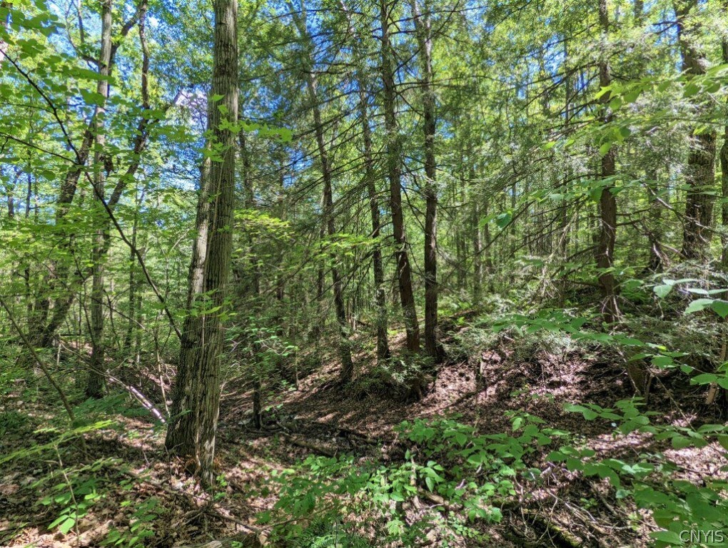 0 Van Etten Road Corning, NY 14830 - Photo 9 of 31