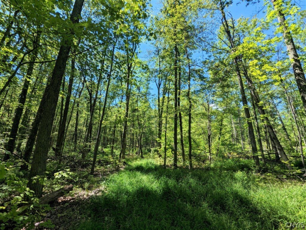 0 Van Etten Road Corning, NY 14830 - Photo 10 of 31