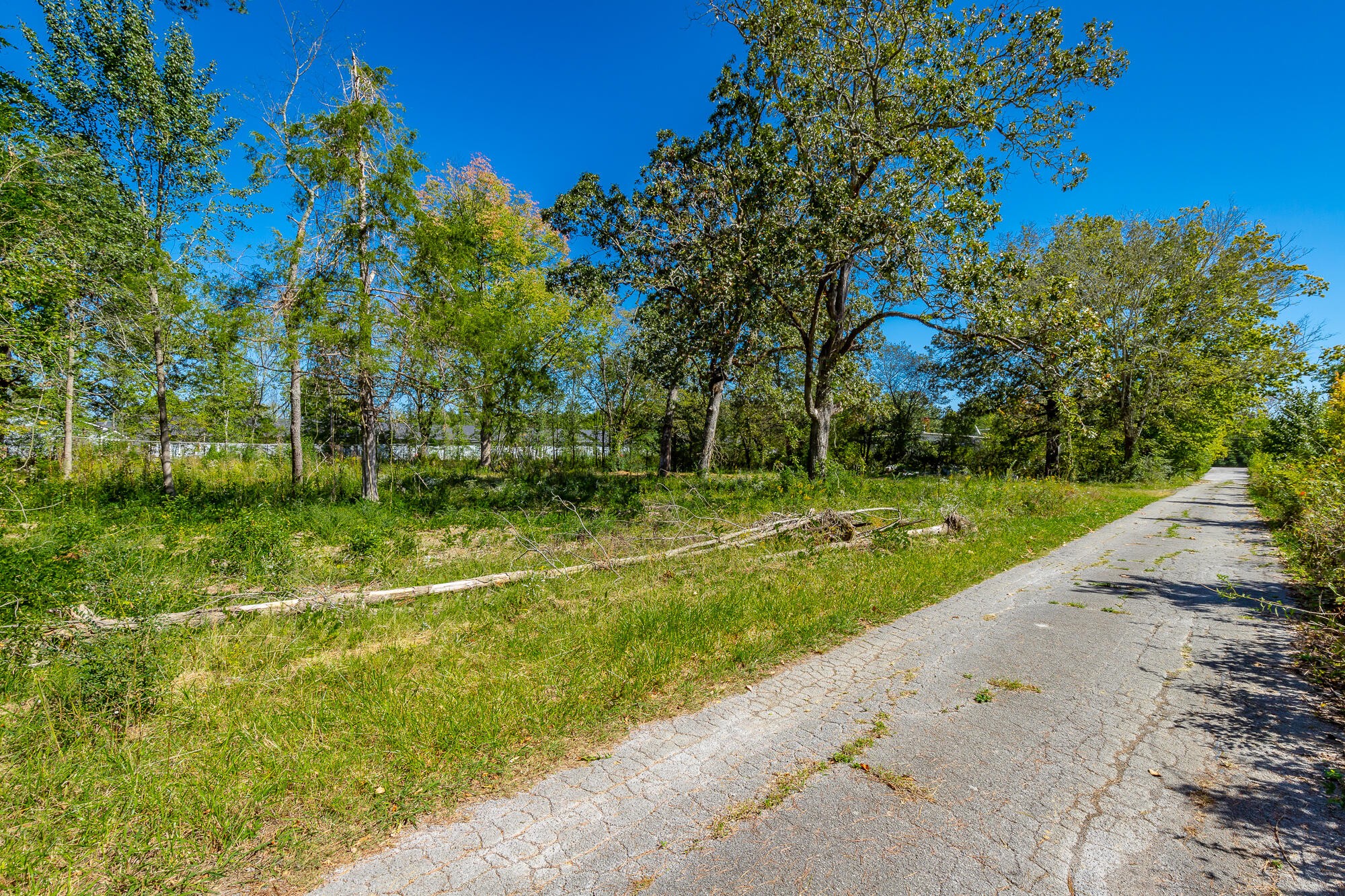 929 Horne Road Hixson, TN 37343 - Photo 11 of 47 Gallery Image 11