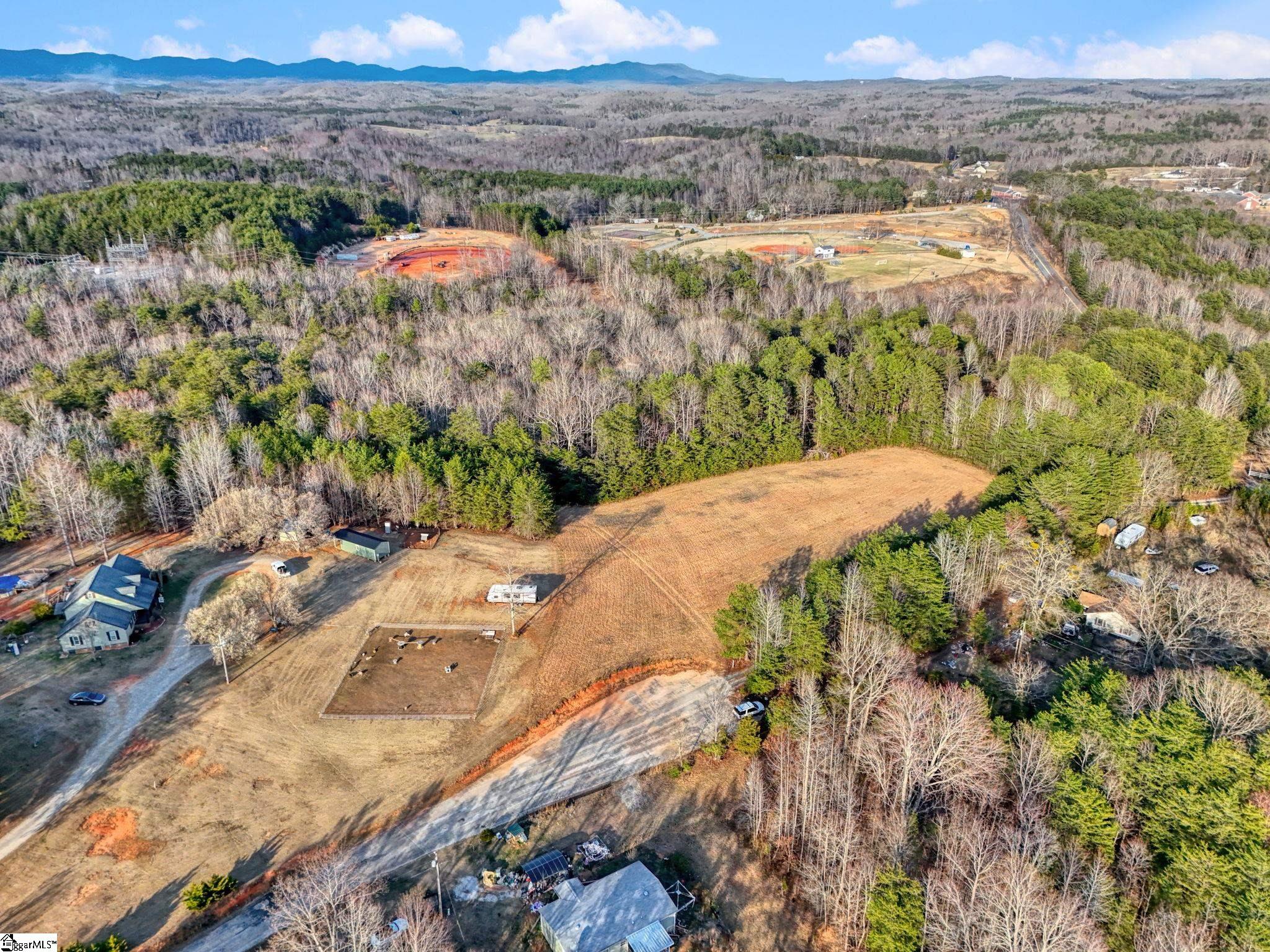 0 Cribbs Way Easley, SC 29640 - Photo 12 of 19