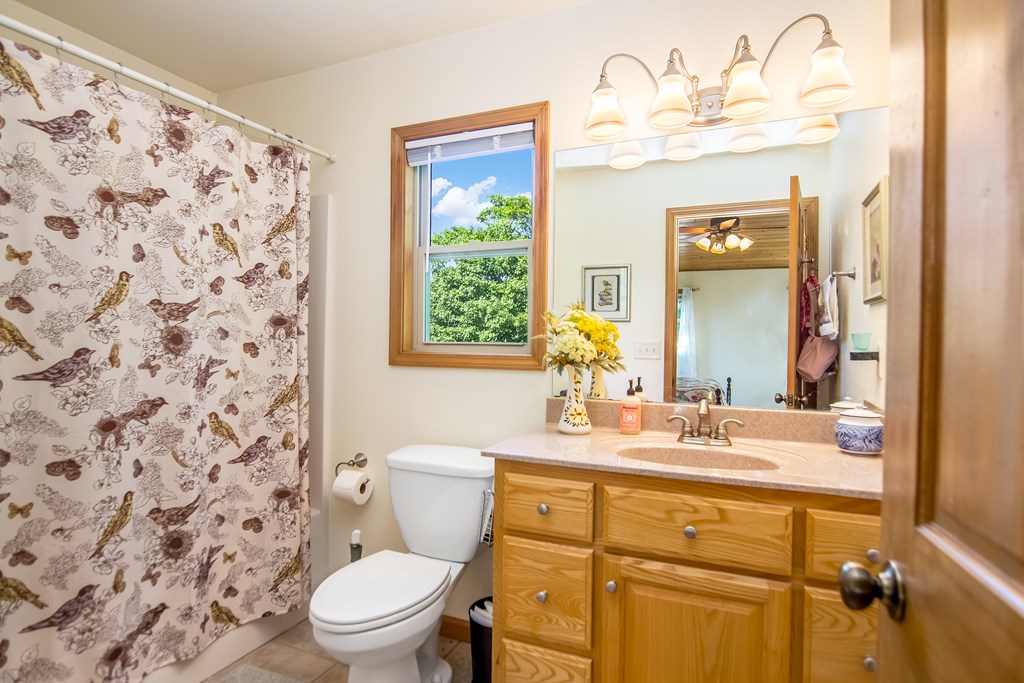 111 Trophy Buck Point Murphy, NC 28906 - Photo 23 of 51 a bathroom with a sink a toilet and a mirror