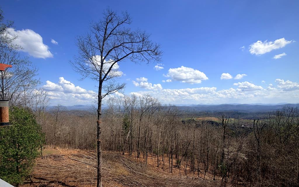 111 Trophy Buck Point Murphy, NC 28906 - Photo 51 of 51 a view of a yard