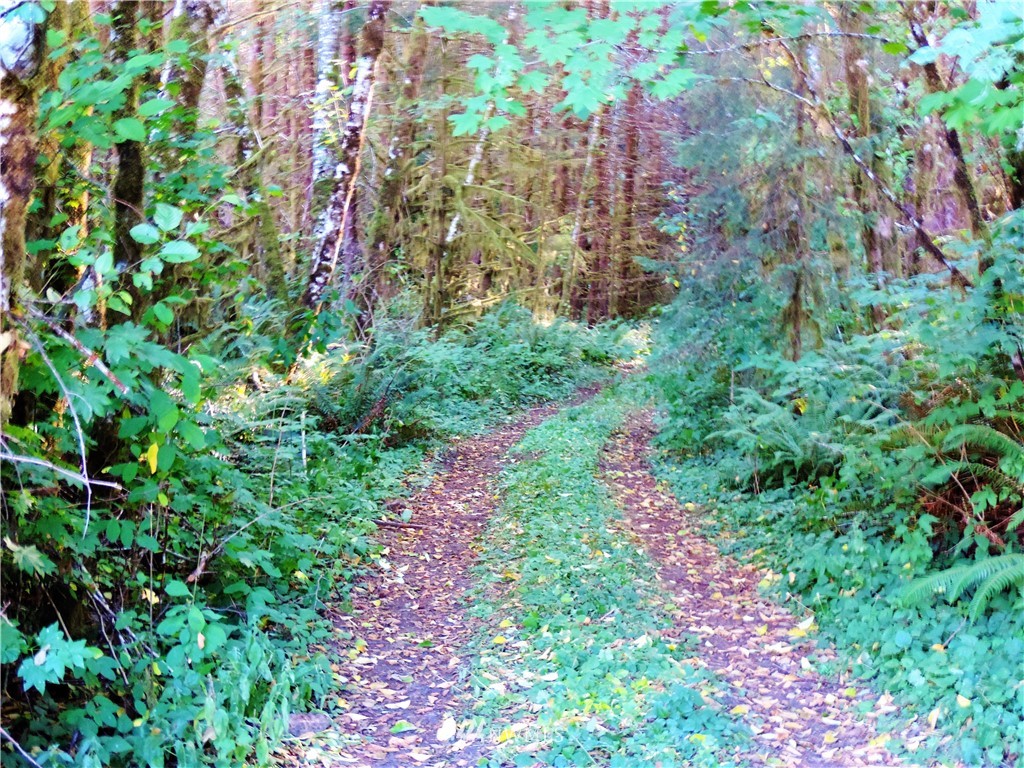 500 North River Road Cosmopolis, WA 98537 - Photo 11 of 23 Gallery Image 11