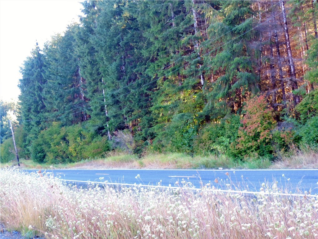 500 North River Road Cosmopolis, WA 98537 - Photo 10 of 23 Gallery Image 10