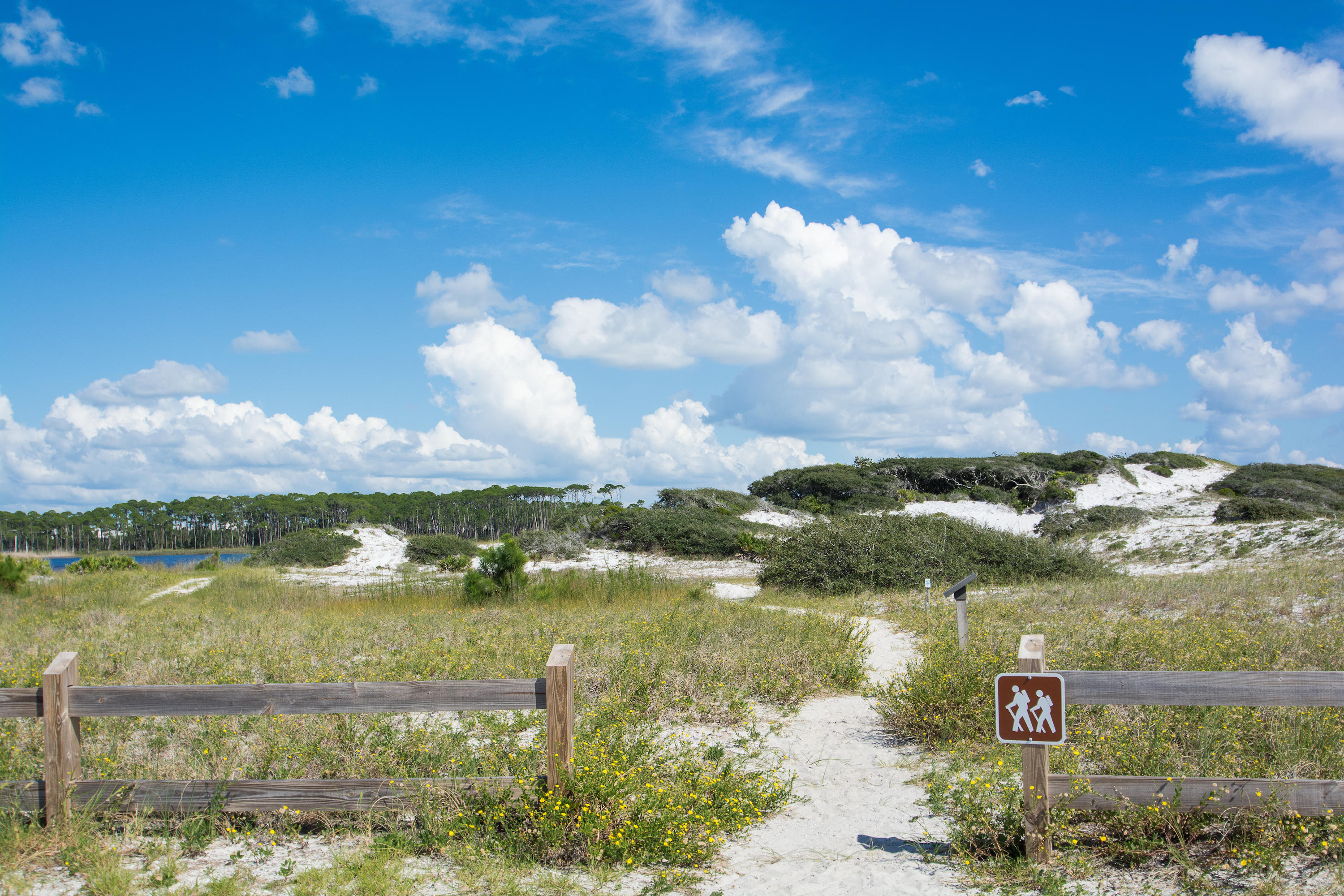 136 Grayton Boulevard Santa Rosa Beach, FL 32459 - Photo 29 of 31 Gallery Image 29