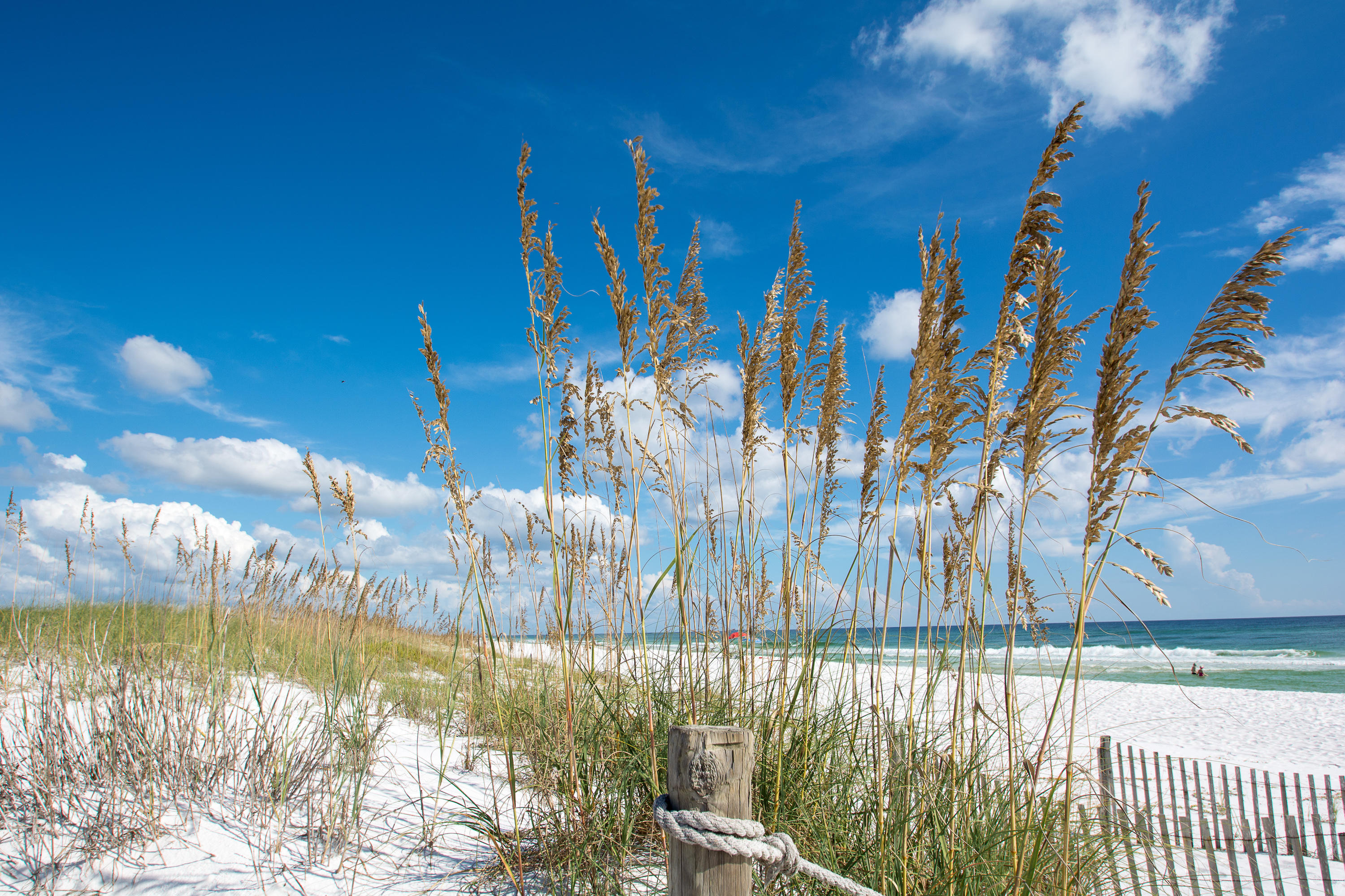 136 Grayton Boulevard Santa Rosa Beach, FL 32459 - Photo 30 of 31 Gallery Image 30