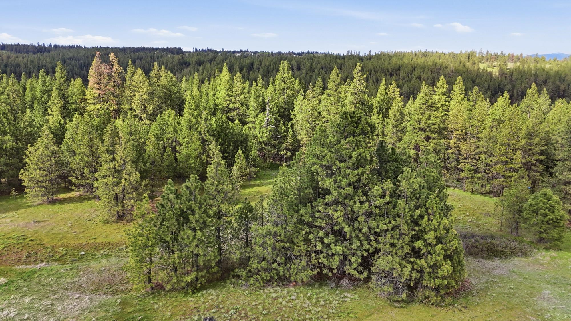 2120 North Christensen Road Medical Lake, WA 99022 - Photo 46 of 48 Gallery Image 46