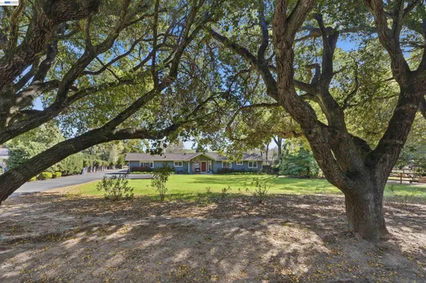 a view of a trees in a yard