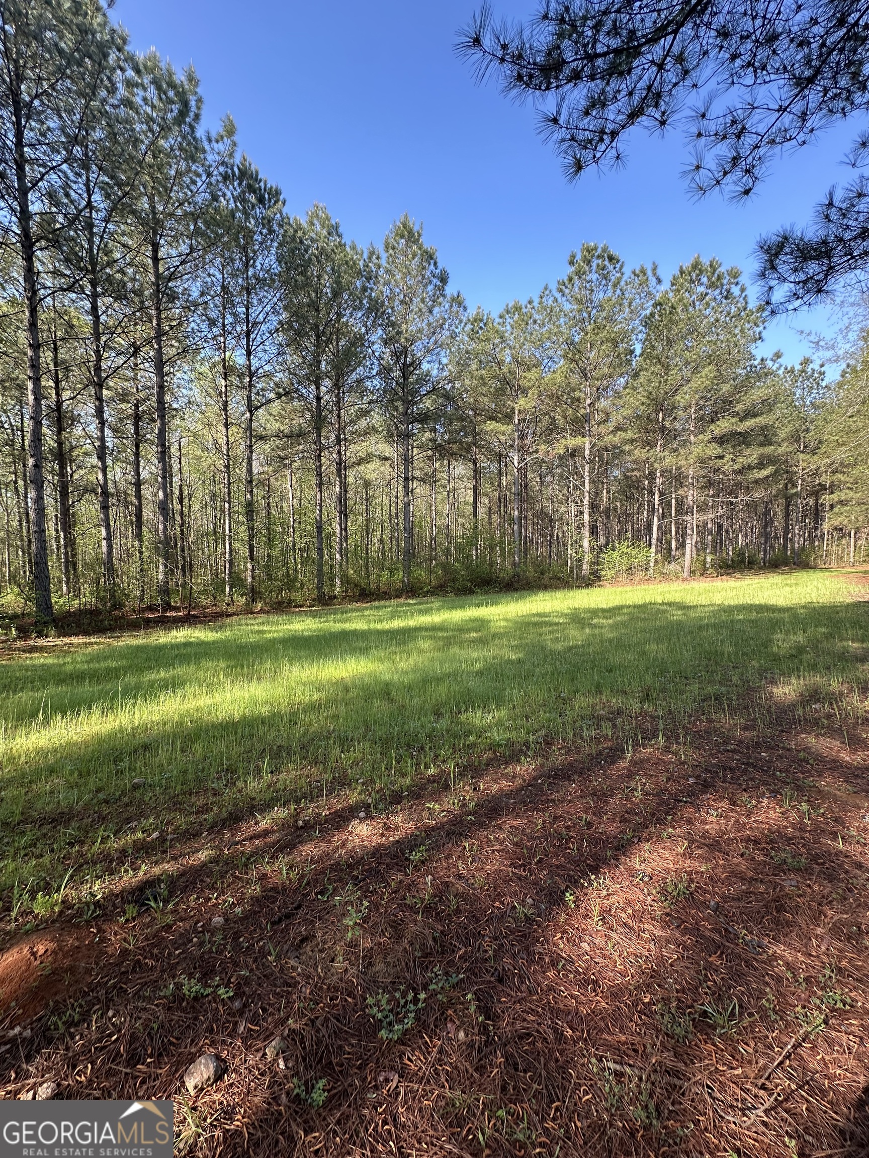 0 J W Dunn Road Warm Springs, GA 31830 - Photo 10 of 11 a view of a golf course with a house