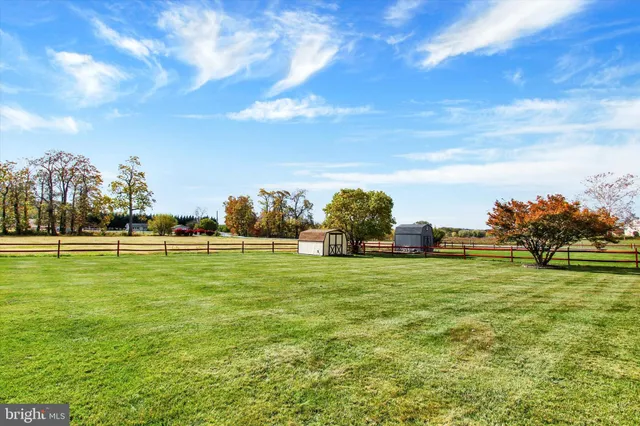 a view of a grassy field with an trees