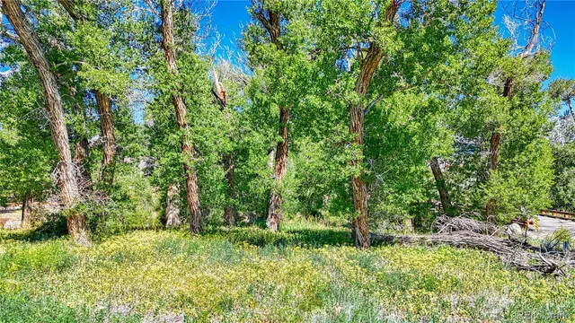 $200,000 | 1112 Little River, Poncha Springs, CO 81242