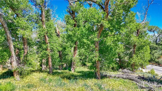 $200,000 | 1112 Little River, Poncha Springs, CO 81242