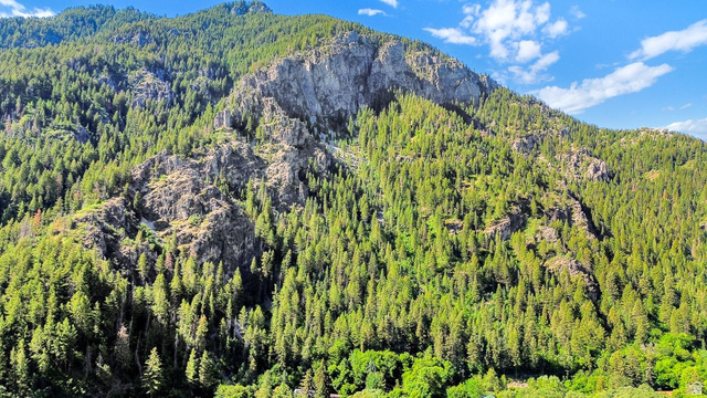 655 Ogden Canyon Road Ogden, UT 84401 - Photo 34 of 50 Mountainous terrain featuring dense evergreen forests and exposed rock faces
