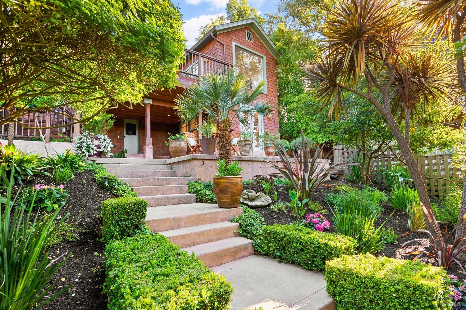a view of yard with small plants and palm trees