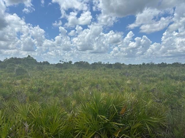 0 Northwest 313th Street Okeechobee, FL 34972 - Photo 2 of 6 Photo 2