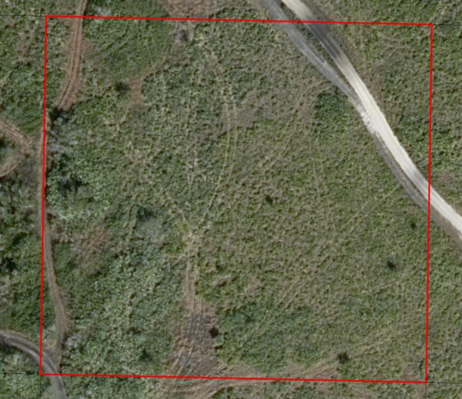 0 Northwest 313th Street Okeechobee, FL 34972 - Photo 4 of 6 Photo 4