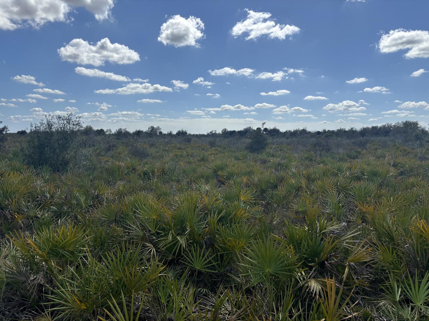 0 Northwest 313th Street Okeechobee, FL 34972 - Photo 5 of 6 img_6668 (1)
