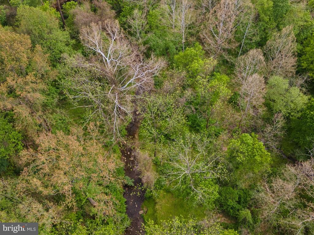 12107 Glen Mill Road Potomac, MD 20854 - Photo 37 of 44