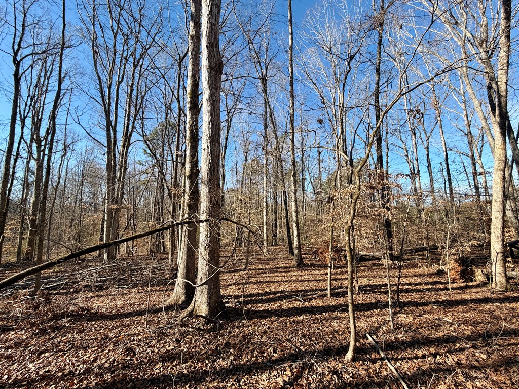 0 Neely Ferry Road Gray Court, SC 29645 - Photo 22 of 23 Gallery Image 22