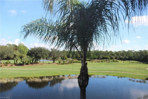 a view of a lake with a yard and palm trees