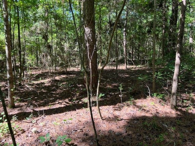 0 Rosin Ridge Road Red Level, AL 36474 - Photo 1 of 14 Gallery Image 1