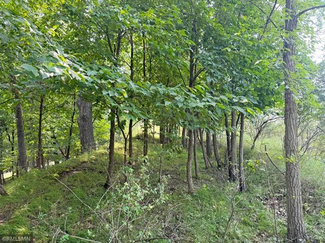 $224,900 | 6157 Quinn Avenue Northwest, South Haven, MN 55382