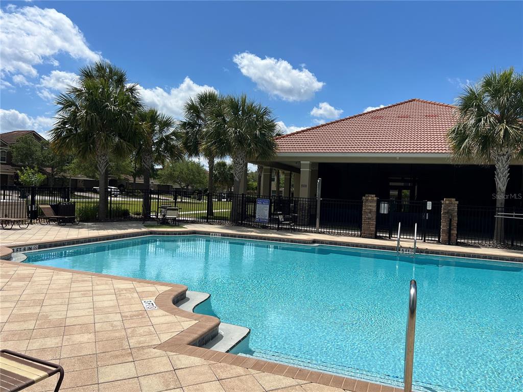 2002 Fishtail Fern Way Ocoee, FL 34761 - Photo 47 of 51 a view of a swimming pool with a patio